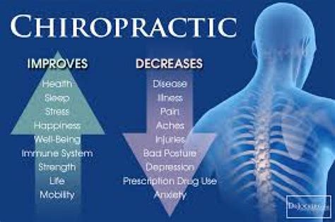 Chiropractic Archives Experienced Orewa Chiropractors