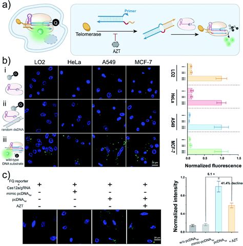 Pam Less Conditional Dna Substrates Leverage Trans Cleavage Of Crispr