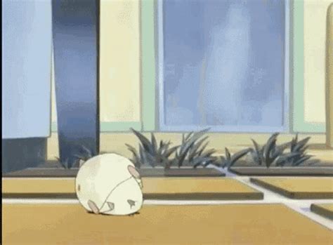 Hamtaro Hamtaro Discover Share Gifs