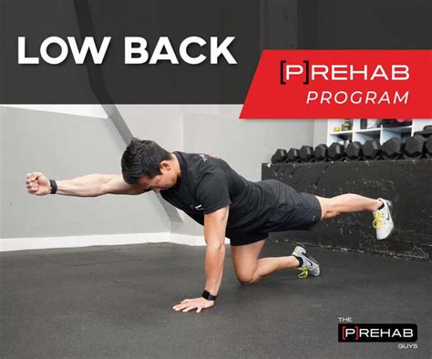 Knee P Rehab Program P Rehab