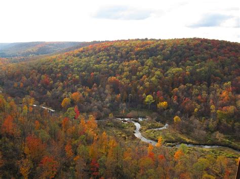 Image Gallery Allegheny National Forest Visitors Bureau