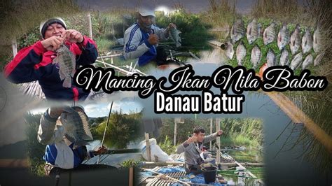 Mancing Ikan Nila Babon Hasilnya Sangat Mantap Dan Memuaskan Youtube