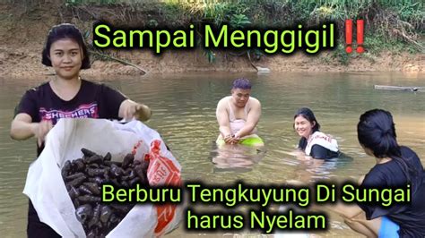 Sampai Menggigil Berburu Tengkuyung Di Sungai Harus Nyelam Youtube