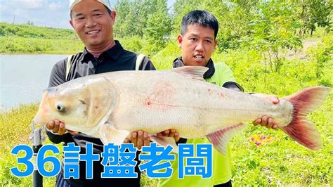 【鄧剛釣魚】黑坑水庫盤老闆，36計都快用完了終於拿下，老闆最後臉都綠了！ Youtube