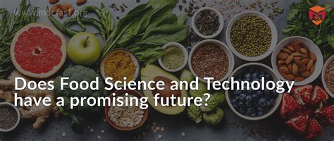 Does Food Science and Technology have a promising future? - MACFAST