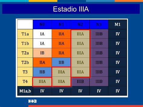 Dr Gustavo Lyons Servicio De Cirug A Tor Cica Estadio Iiia Abordaje Y