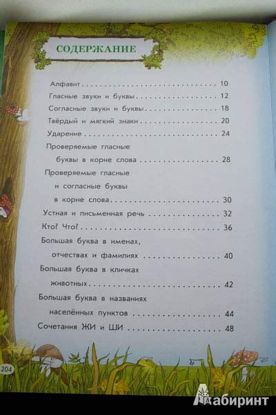 Книга: Все правила русского языка для детей - Мария Фетисова. Купить ...
