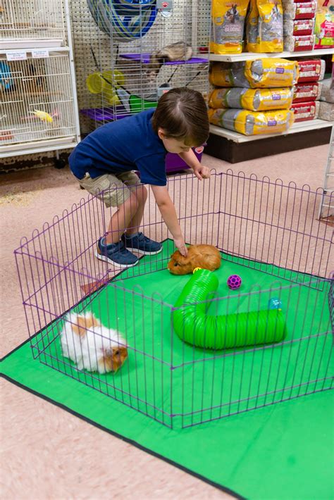 Noah's Ark Pet Shoppe - Effingham, IL