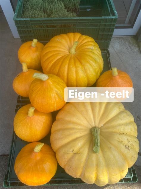 Foto S Dillen Groenten Fruit Bv