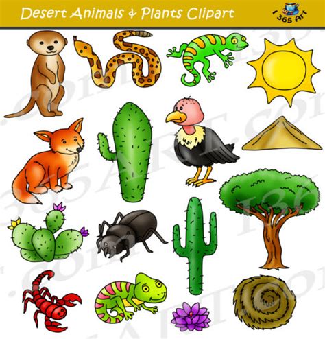 Desert Clipart - Desert Animals and Terrain Clip Art - School Clipart