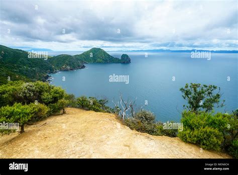 Hiking The Coromandel Coastal Walkway Rainforest And A Steep Coast