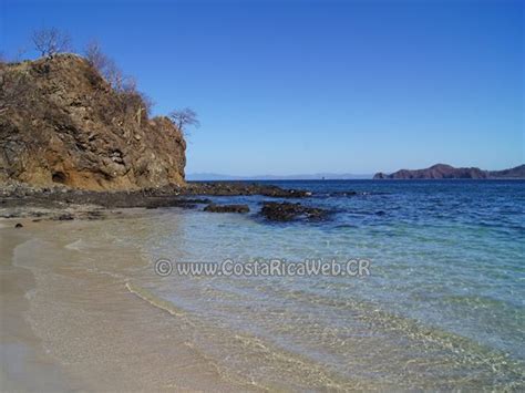 Playa Penca Punta Cacique Costa Rica Costa Rica Playa Playas De