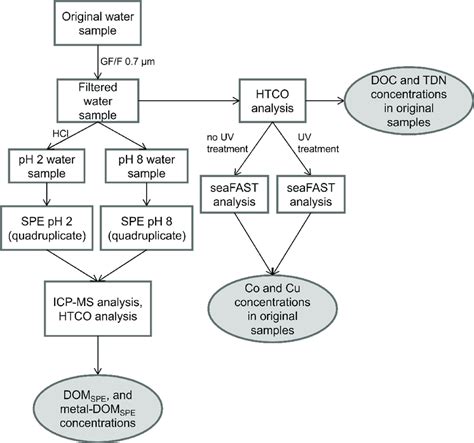 Sample processing workflow. The sample processing steps are represented ...