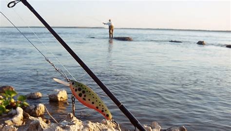 La Gu A Definitiva De La Pesca En El R O Consejos Y T Cnicas Mundo