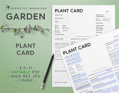 Plant Card Editable Pdf Plant Identification Card Plants Etsy