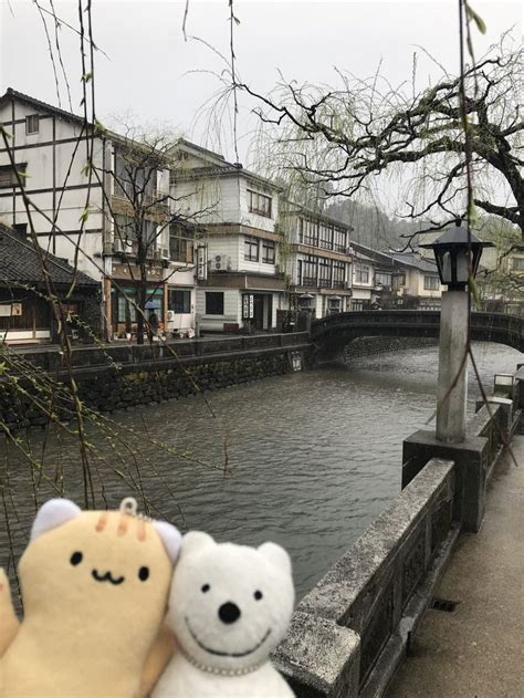 クマ散歩：城崎温泉に品行方正なクマ出没2 The Bear Hung Around Kinosakionsen！♪☆ O ／ クマ出没 品行方正 Bear クマ 温泉 城崎