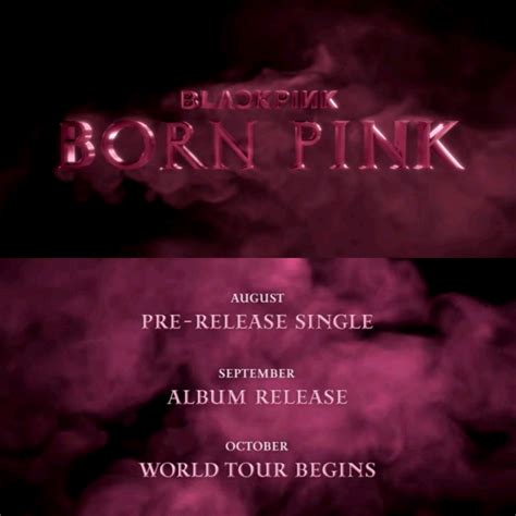 【真•blackpink回归】8月先行曲9月新专辑！ 哔哩哔哩