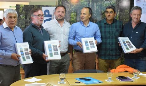 “plan Integral De Restauración De Las Grandes áreas Afectadas Por Los