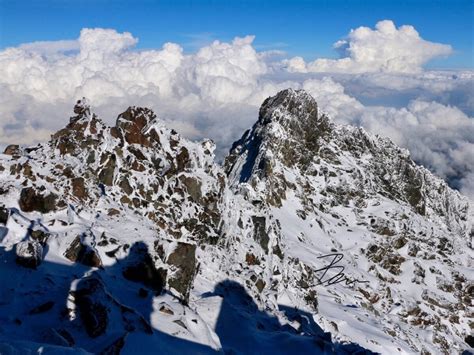 Hiking Rwenzori Mountains National Park