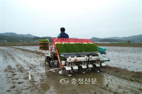 청주농업기술센터 모내기 적기는 15일~6월 5일