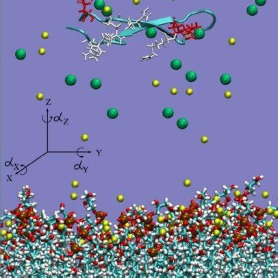 Color Online Snapshot Of Molecular Structure Showing The Initial