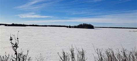 Elk Island National Park Edmonton Parks Central Alberta Parks