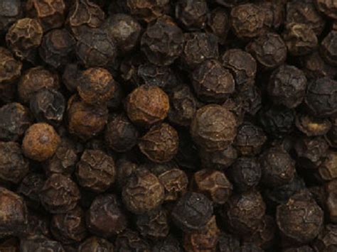 Premium Black Pepper Oleoresin Mane Kancor