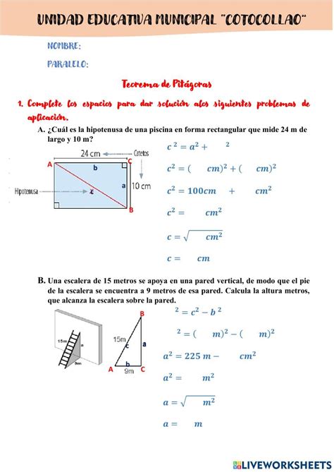 Teorema De Pitágoras Online Exercise For Ebse Live Worksheets