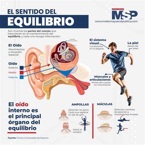 Sentido Del Equilibrio Infograf A