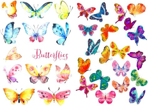 Amazon Seasonstorm Colorful Butterfly Kawaii Aesthetic Pastel Art