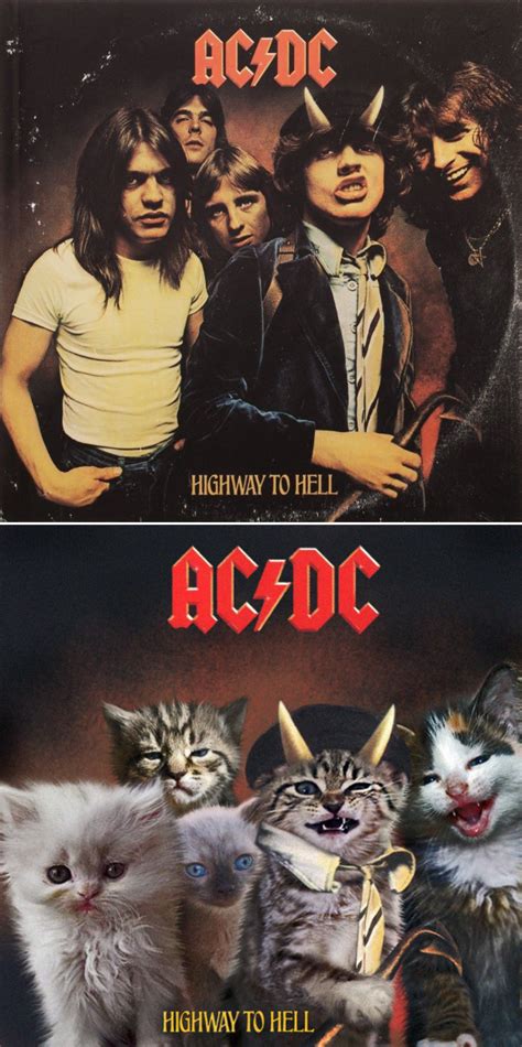 Famous Album Covers Reimagined With Kitten Charm Barnorama