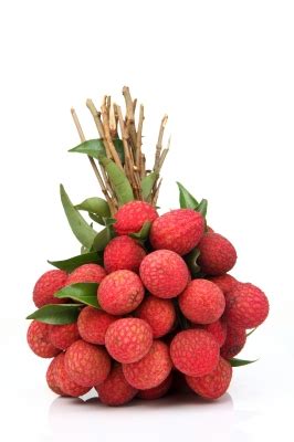 What Is the Difference Between the Lychee, Rambutan and Longan ...