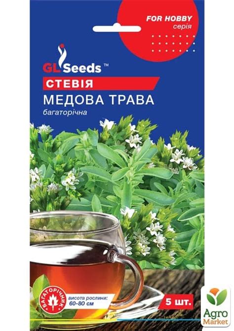 Стевия "Медовая трава" ТМ "GL SEEDS" 5шт купить почтой в Одессе, Киеве ...