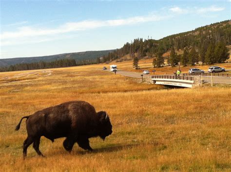 Yellowstone National Park, Wyoming