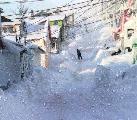 Image 6 Courtesy of St Pierre Miquelon historical archives. - The St
