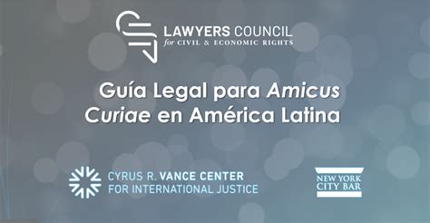 Guia Legal Para Amicus Curiae En America Latina Spanish Cyrus R