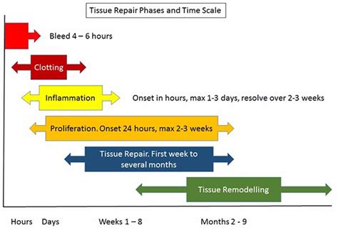 Hamstring Tear - Causes, Treatment And Recovery | realbuzz.com