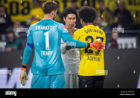 Dortmund Germany Nd Apr Torwart Kevin Trapp Fra Daichi