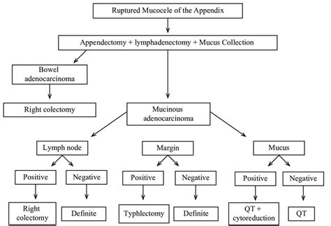 Treatment protocol of perforated mucocele. | Download Scientific Diagram