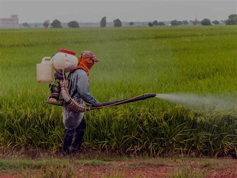 Agrotóxicos seus usos classificações e importâncias CONSEQ