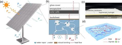 上海交大马涛副教授课题组提出光伏组件被动式冷却与增效新方法 生物通