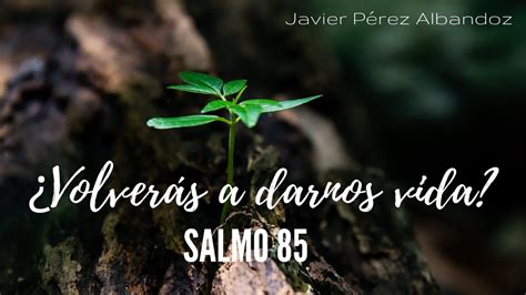 Volverás a darnos vida Salmo 85 Ps Javier Pérez Albandoz YouTube