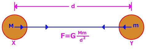 MCQ Gravitation NCERT Class 9 Science 9thscience