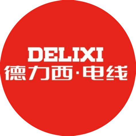 Shanghai Delixi Group Co. LTD