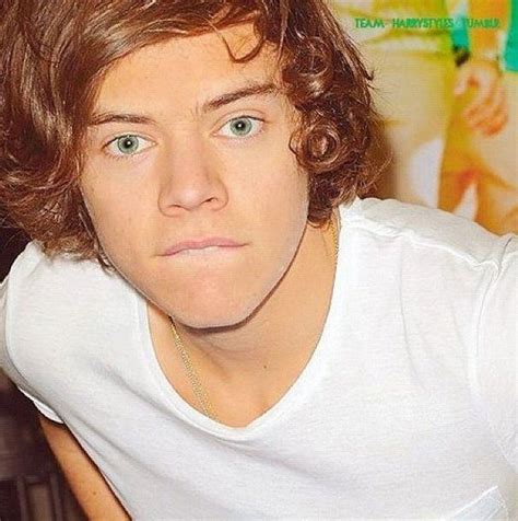 My Life One Direction Mini Hot Imagine Harry Styles