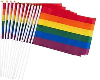 50 Stück LGBT Gay Pride Flagge Handschwenkende Regenbogenfahnen Bunte Streifen Stick Flag