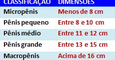 Perguntas Picantes Qual O Tamanho Normal De Um P Nis
