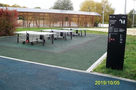 Площадка для теннисного стола на даче - фото