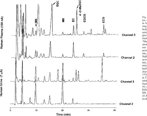 Figure 1 From Pharmacokinetics Of Tea Catechins After Ingestion Of