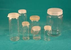 crawled    stump  fast rwhatsthisbug